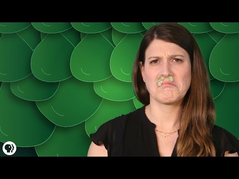 Everything You Didn&#039;t Want To Know About Snot