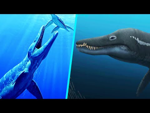 Predator X - The Giant Arctic Pliosaur