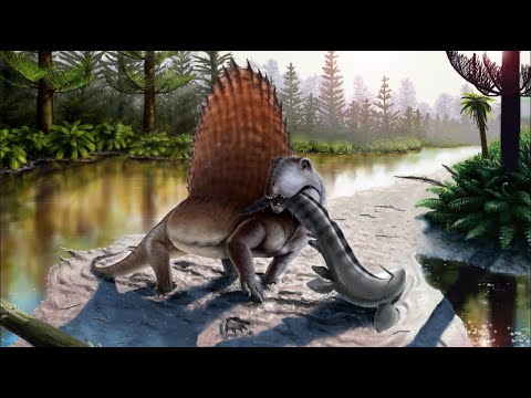 Dimetrodon - Ancient Animal