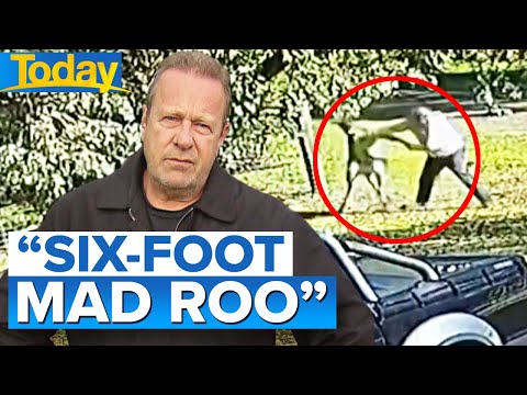 Man fights kangaroo for six minutes in Victoria | Today Show Australia