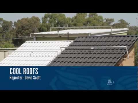 Visions: Cool Roofs