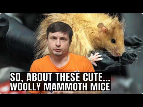 Let&#039;s Talk About the Woolly Mammoth Mice That Were Just Created