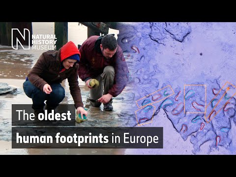 The oldest human footprints in Europe | Natural History Museum