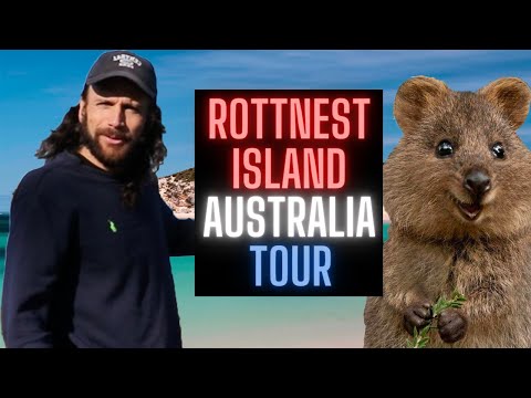 Australia&#039;s Rottnest Island: History AND the Cutest Animal Ever
