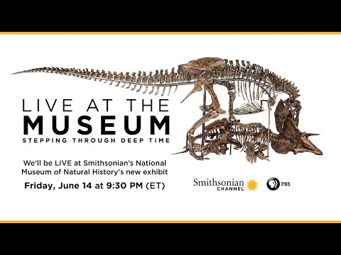 🔴Live at the Museum: Stepping Through Deep Time