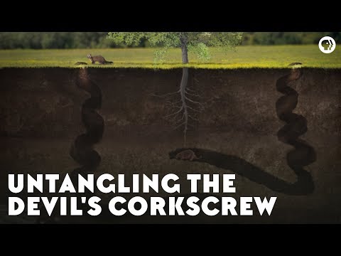 Untangling the Devil&#039;s Corkscrew