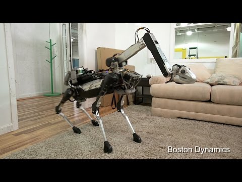 10 Incredible Robots That Mimic Animals - 20