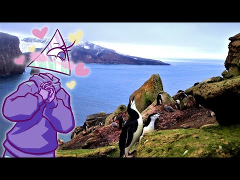 Deception Island is Actually an Active Volcano (Pretty Fitting Name, Right?) | Weird Wild World