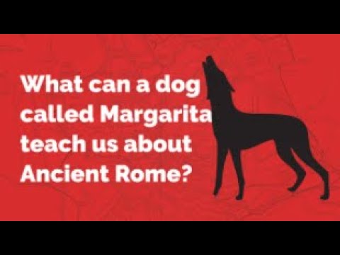 What Can a Dog Called Margarita Teach us About Ancient Rome?
