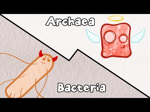 Archaea: Bacteria&#039;s Pacifist Cousins?