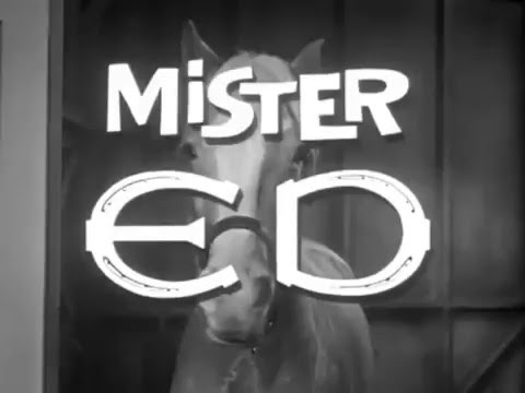 Mister Ed 1961 - 1966 Opening and Closing Theme (With Snippet)