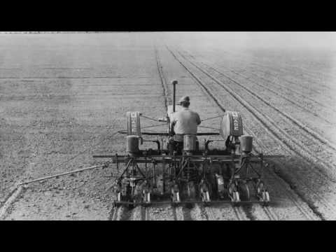 The Dust Bowl Episode Uncovering the Dust Bowl PBS