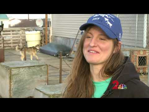 Iditarod Red Lantern is proof of perseverance, drive in Bethel&#039;s Victoria Hardwick
