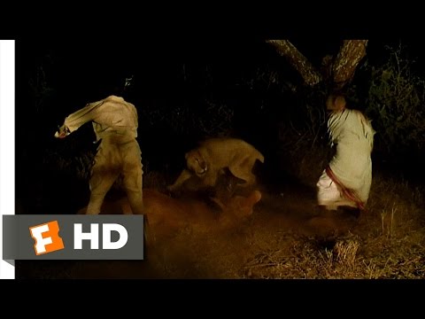 Out of Africa (3/10) Movie CLIP - Lions Attack Karen&#039;s Ox (1985) HD