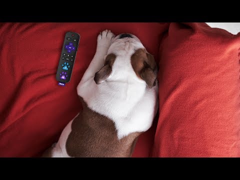 Introducing the Roku Press Paws Remote