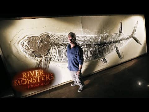 The Prehistoric Monster Xiphactinus | River Monsters