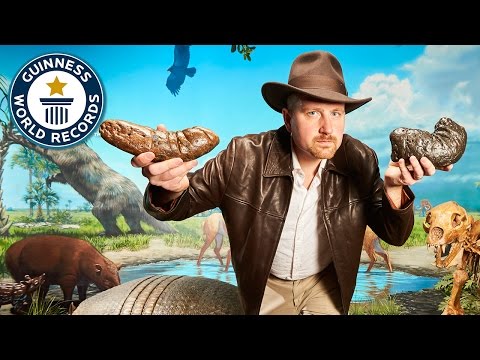 Dinosaur poop collection - Guinness World Records