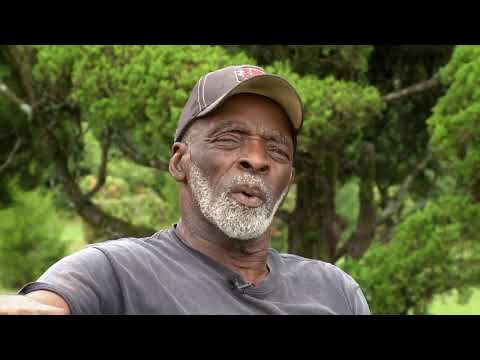 Carolina Impact: Pearl Fryar&#039;s Topiary Garden (Feb. 6, 2018)