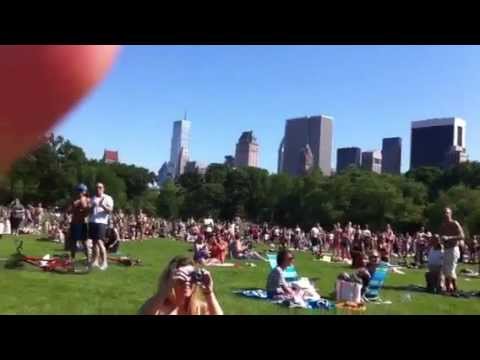 Central Park Skywriting Proposal