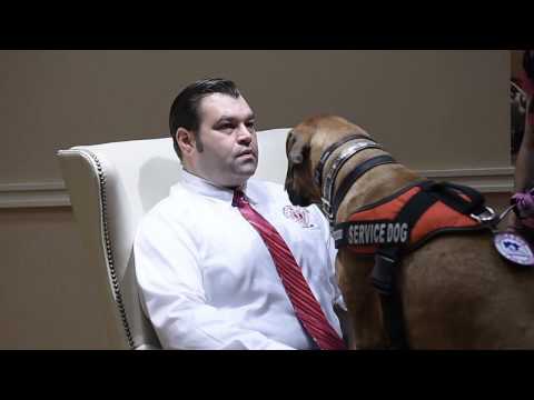 Dog trained to detect cancer in humans