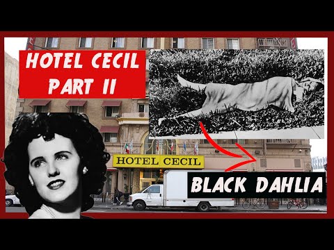 Top 10 Horrible Facts About the Cecil Hotel - 40