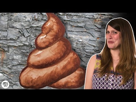 What Can You Learn From Ancient Poop?