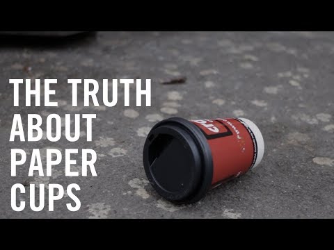 The Truth About Paper Cups