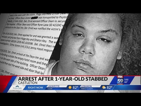 Woman admits to stabbing 1-year-old niece by mistake while trying to stab dog that ate her sandwich