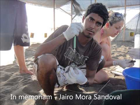 Playa Roja - Yaco