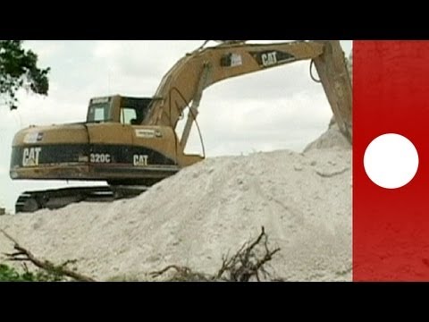 Belize: Mayan temple bulldozed for road building