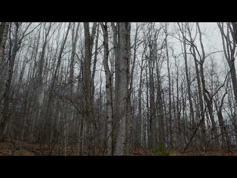 Corpse Roads: The Haunted Trails of Medieval Europe