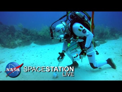 Space Station Live: From Underwater, The NEEMO Commander