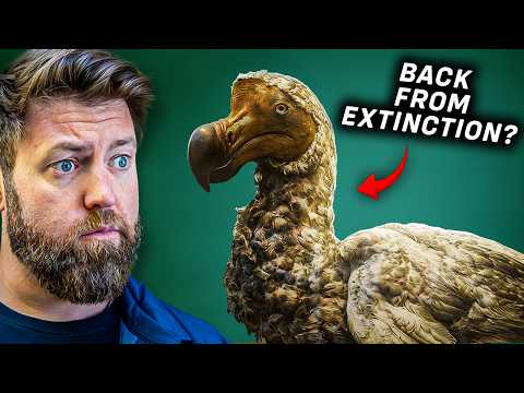 Why I Believe The Dodo Is Coming Back From Extinction