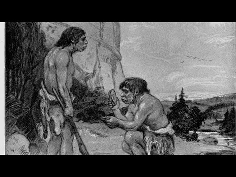 Neanderthals cooked meals with pulses 70,000 years ago