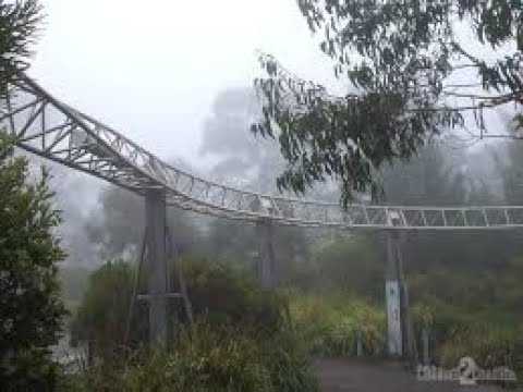 Orphan Rocker Roller Coaster - Australia