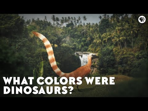 What Colors Were Dinosaurs?
