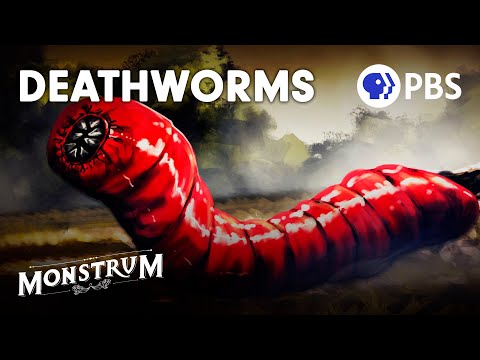 Death Worms: Fact or Fiction? | Monstrum