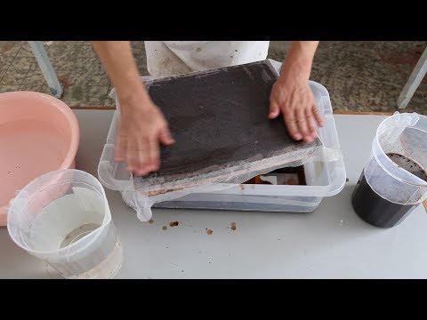 Making paper of sargassum seaweed