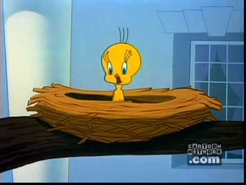 I Tawt I Taw a Puddy Tat (Tweety Compilation)