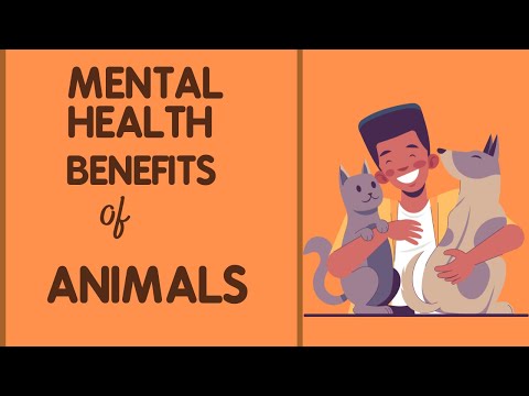 Discover the Mental Health Benefits of Spending Time with Animals
