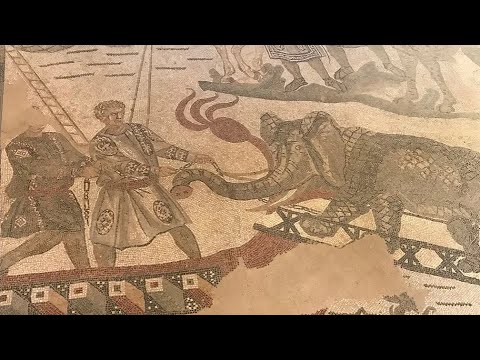 How did the Romans Capture Animals for the Colosseum?