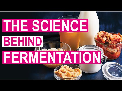 Health Benefits of Fermented Food | Why is Fermentation Healthy?