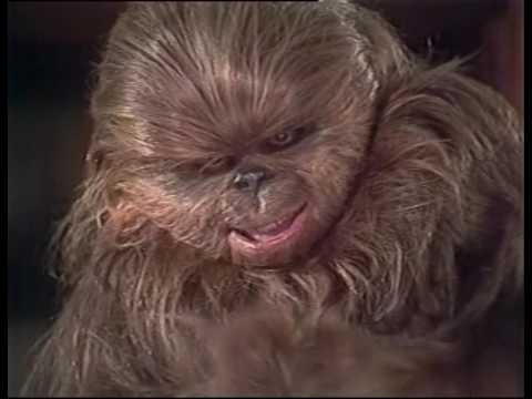 The Star Wars Holiday Special (High Quality)