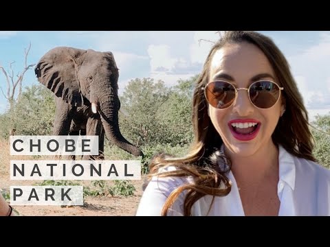 Insane SAFARI in Botswana | Chobe National Park