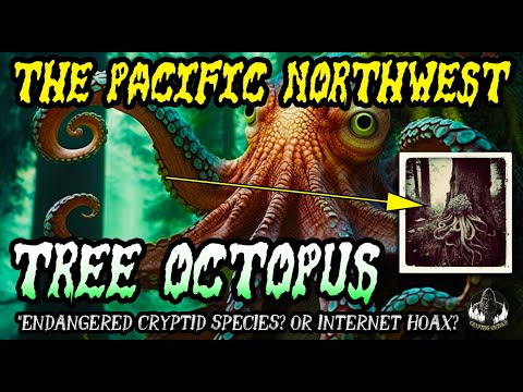 PACIFIC NORTHWEST TREE OCTOPUS! - The Rise and Fall of A Cryptid Legend...