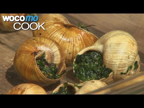 Snails | Gathering and Cooking the French Delicacy