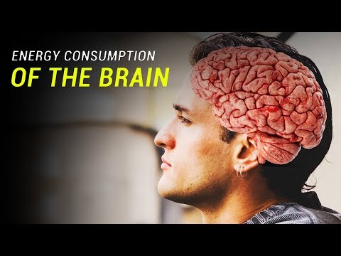 Why Does the Brain Consume So Much Energy?