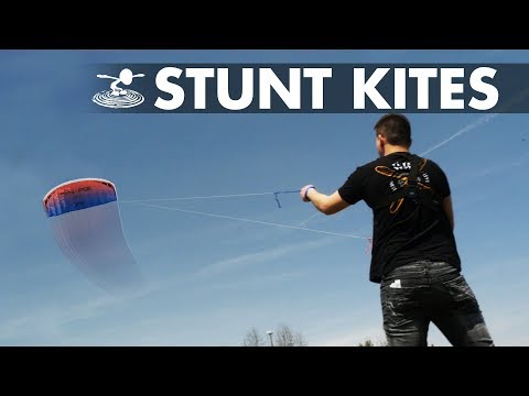 Let&#039;s Go Fly a Kite