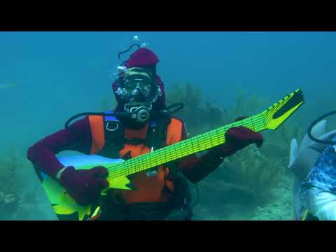 Underwater Music Festival Spotlights Coral Reef Protection