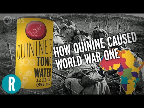 How Quinine Fights Malaria, and How That Caused* World War One